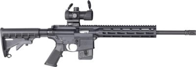 S&W M&P15-22 SPORT OR 22LR - 16.5" MP100 RED/GRN DOT 10-SHT