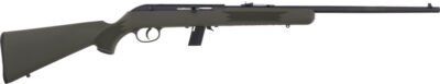 SAVAGE 64F 22LR 21" BBL - BLUED/GREEN SYNTHETIC