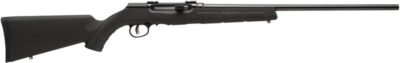 SAVAGE A17 17HM2 SPORTER 20" - 10-SH ACCU TGR BLUED/BLACK SYN