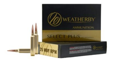 WEATHERBY 25WBY RPM 117GR BARNES LRX