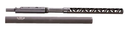 GEM SILENCER MIST-22TD 22LR